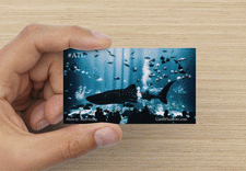 CardWhatever.com Test: Atlanta City Cards