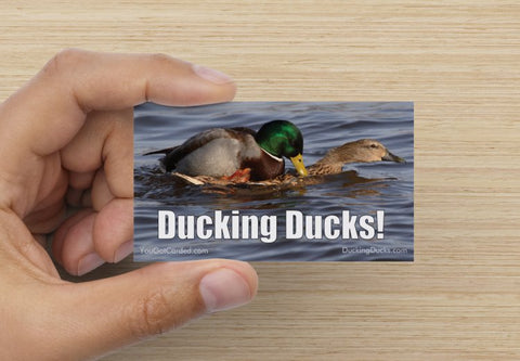 Ducking Ducks! (Damn Auto-Correct)