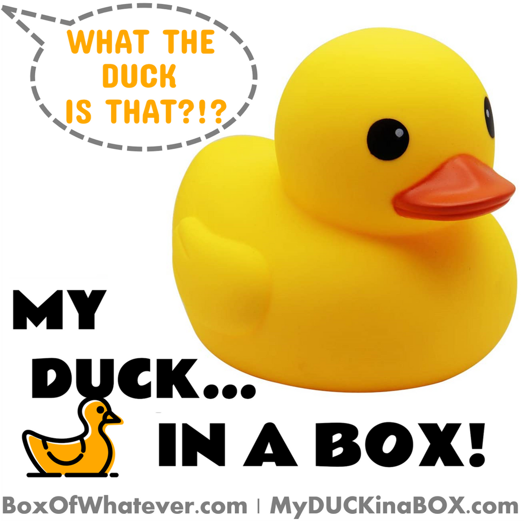 My Duck in a Box! (MyDuckInaBox.com) – The WHATEVER Network!