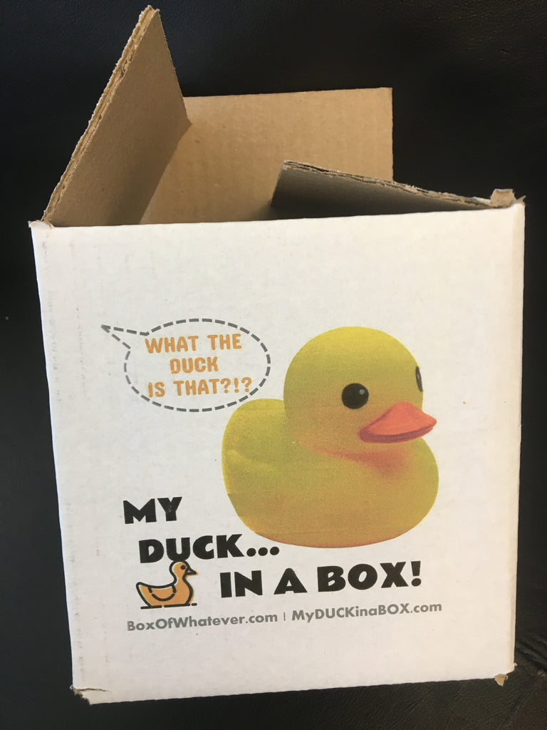 My Duck in a Box! (MyDuckInaBox.com) – The WHATEVER Network!