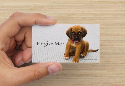 Forgive Me? - Puppy