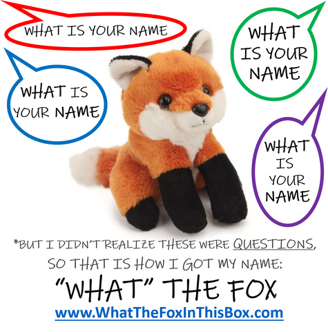 "WHAT the FOX" in this BOX (?!?)