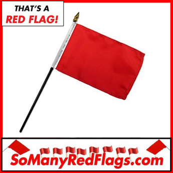 RED FLAG (small) - 4-inch x 6-inch Flag / 10-inch stick - SoManyRedFlags.com