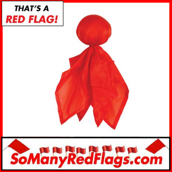 Red CHALLENGE FLAG (football) - SoManyRedFlags.com
